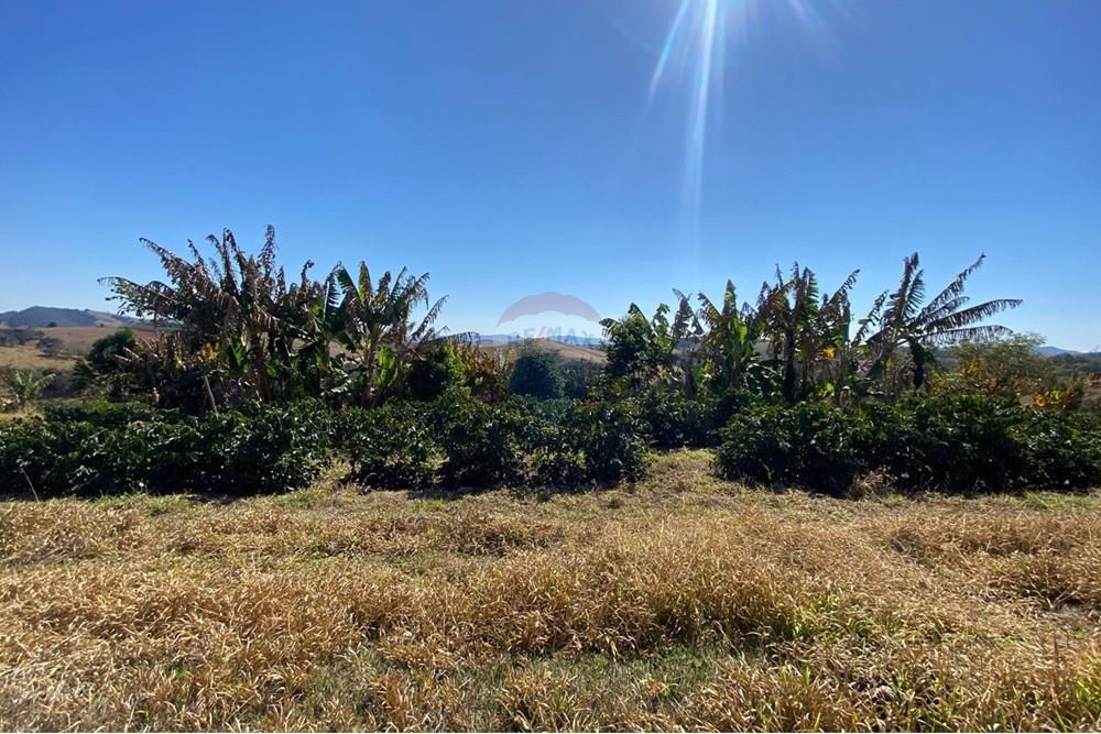 Chácara / Sítio / Fazenda - Venda - Monte Sião , Minas Gerais - WhatsApp Image 2025-07-18 at 18.06.48 (4).jpeg - Quintal - 690291077-219