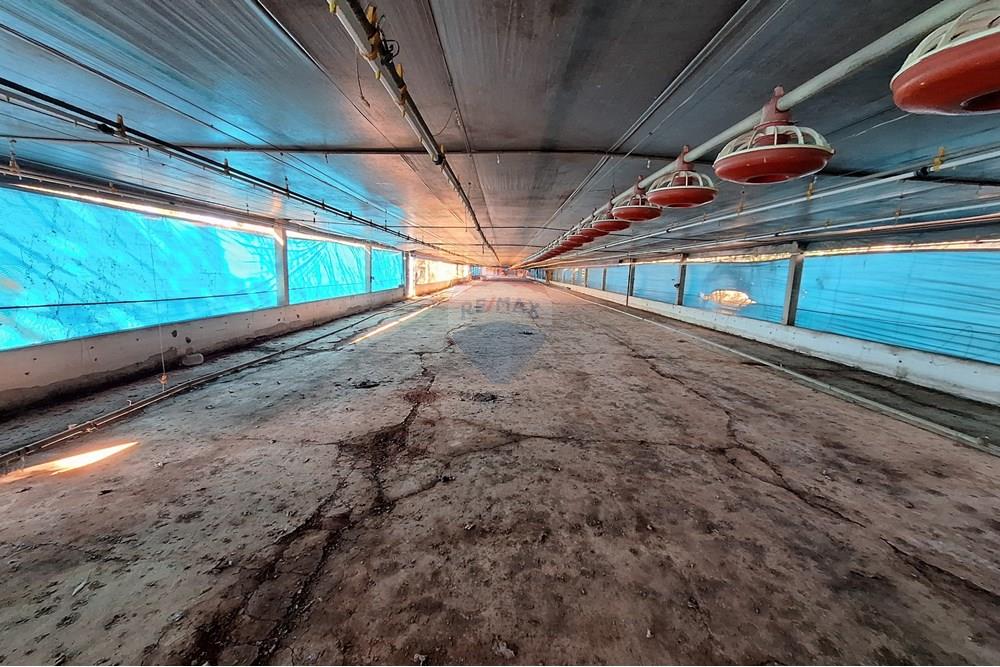 Chácara / Sítio / Fazenda - Venda - Itapira , São Paulo - 20250626_094954.jpg - 690751048-290