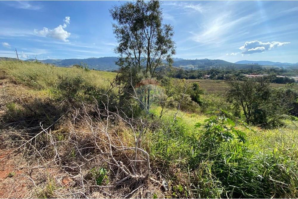 Terreno - Venda - Jacutinga , Minas Gerais - WhatsApp Image 2025-10-06 at 12.27.53 (2).jpeg - 690291077-278