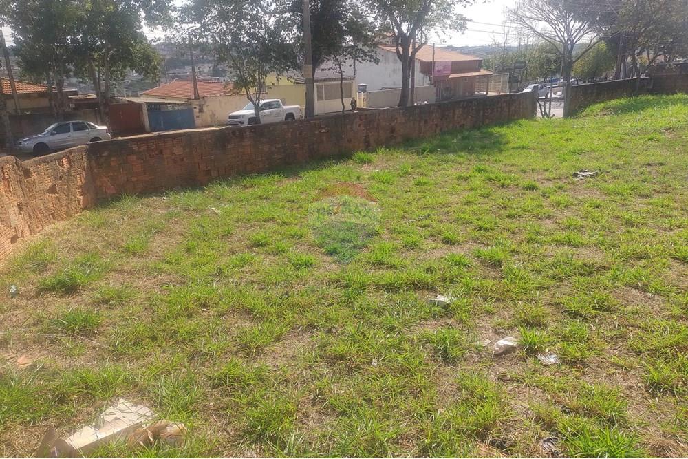 Terreno - Venda - Cosmópolis , São Paulo - IMG_20240801_135642597.jpg - 690831005-1001