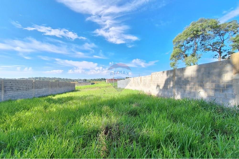 Terreno - Alugar - Mogi Mirim , São Paulo - IMG-20241209-WA0046.jpg - 690751048-95