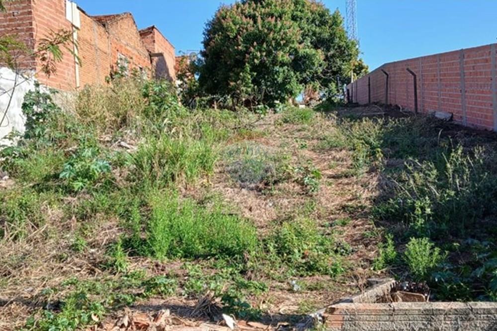 Terreno, 516 m² - Foto 11