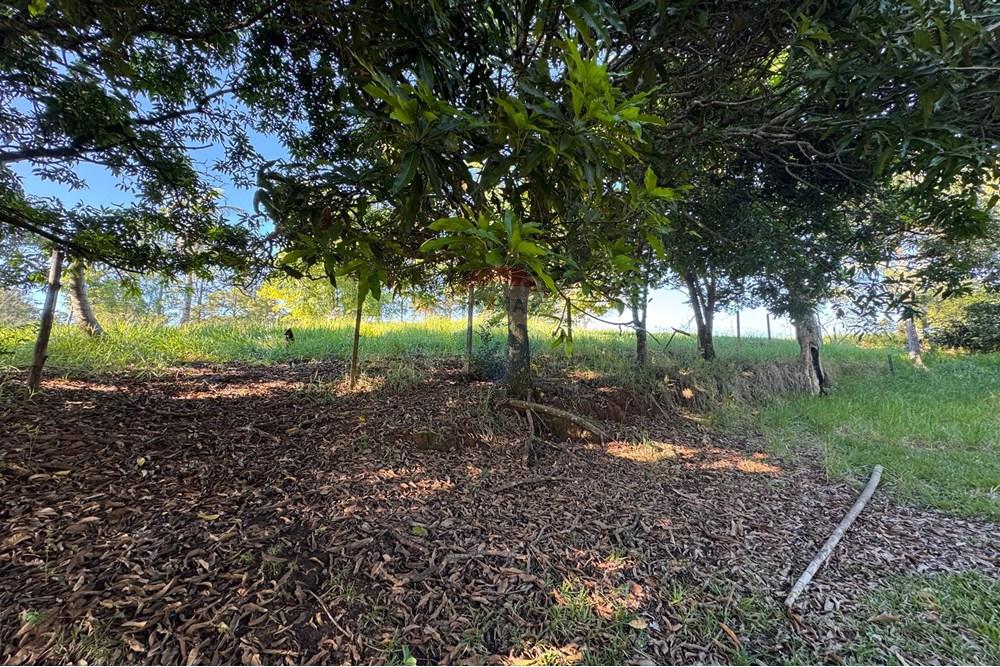 Terreno - Venda - Bragança Paulista , São Paulo - H - Foto Terreno Portal Barragem Jacareí 30.jpg - 690041052-92