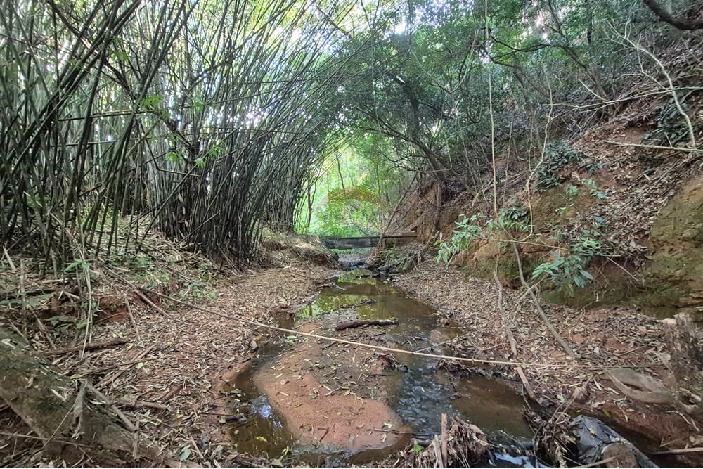 Chácara / Sítio / Fazenda - Venda - Amparo , São Paulo - 20250807_145644.jpg - 690681097-40