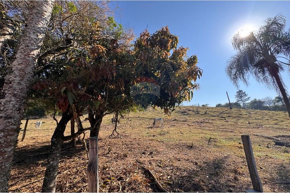 Terreno - Venda - Tuiuti , São Paulo - WhatsApp Image 2025-10-06 at 14.47.27 (12).jpeg - 690041052-114