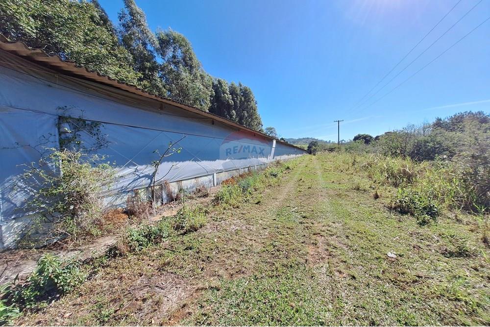 Chácara / Sítio / Fazenda - Venda - Itapira , São Paulo - 20250626_103806.jpg - 690751048-290