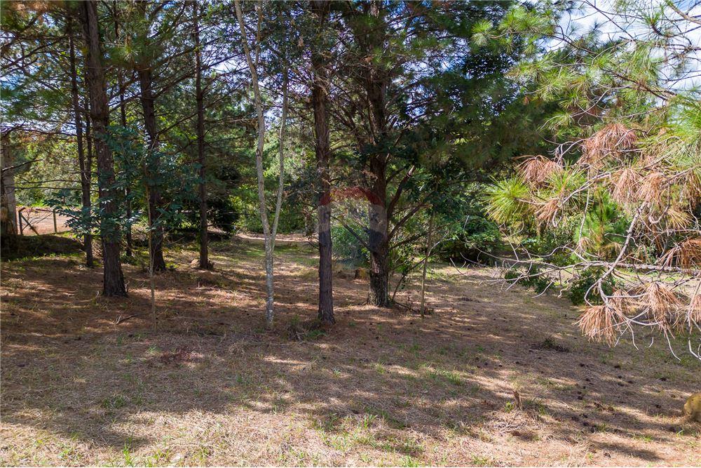 Terreno - Venda - Valinhos , São Paulo - 14 - 691091001-208