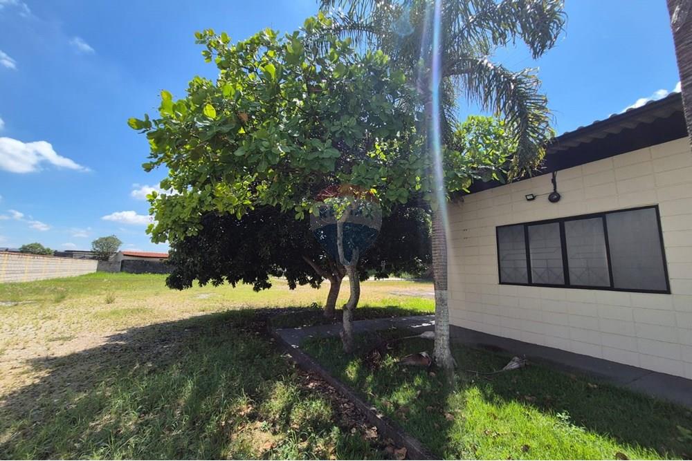 Ponto Comercial/ Loja - Alugar - Vinhedo , São Paulo - Foto 3.jpg - 690541185-29