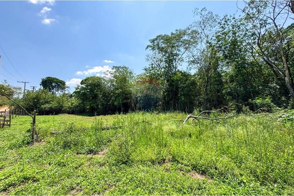 Terreno - Venda - Estiva Gerbi , São Paulo - WhatsApp Image 2025-10-18 at 11.25.58.jpeg - 690521033-193