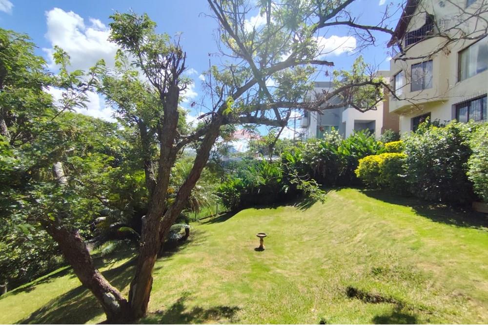 Casa - Venda - Águas de Lindóia , São Paulo - WhatsApp Image 2025-03-14 at 14.18.05.jpeg - 690291077-228