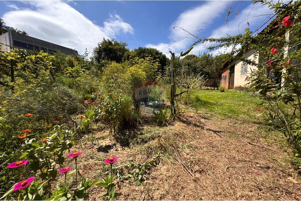 Chácara / Sítio / Fazenda - Venda - Capivari , São Paulo - foto 14.jpg - 690091006-483