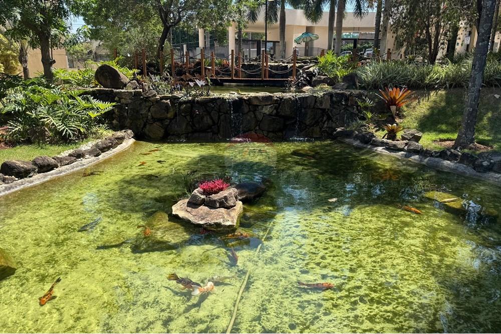 Apartamento - Alugar - Campinas , São Paulo - Imagem do WhatsApp de 2025-09-30 à(s) 11.39.39_46cc554e.jpg - 690331001-149