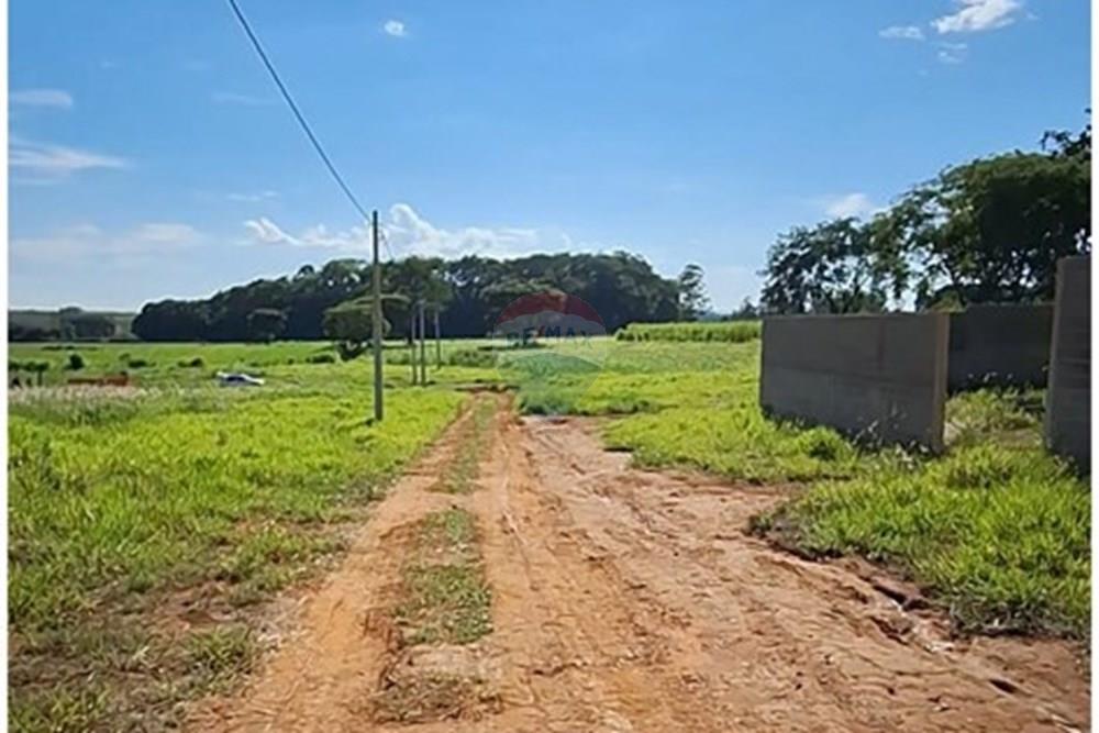 Terreno - Alugar - Mogi Mirim , São Paulo - IMG-20241209-WA0032.jpg - 690751048-95