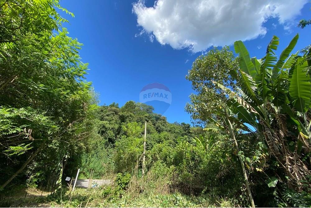 Terreno - Venda - Mairiporã , São Paulo - 618bca59-fb1c-4a7a-9af2-9d27ba4f1064.jpeg - 690041107-11