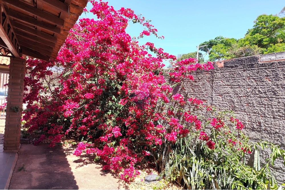 Chácara / Sítio / Fazenda - Venda - Cosmópolis , São Paulo - IMG_20250917_130409088_HDR-EDIT.jpg - 690511140-63