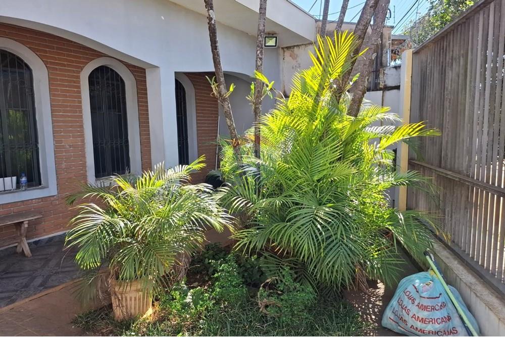 Casa - Venda - São Carlos , São Paulo - Jardim.jpeg - 691001004-32