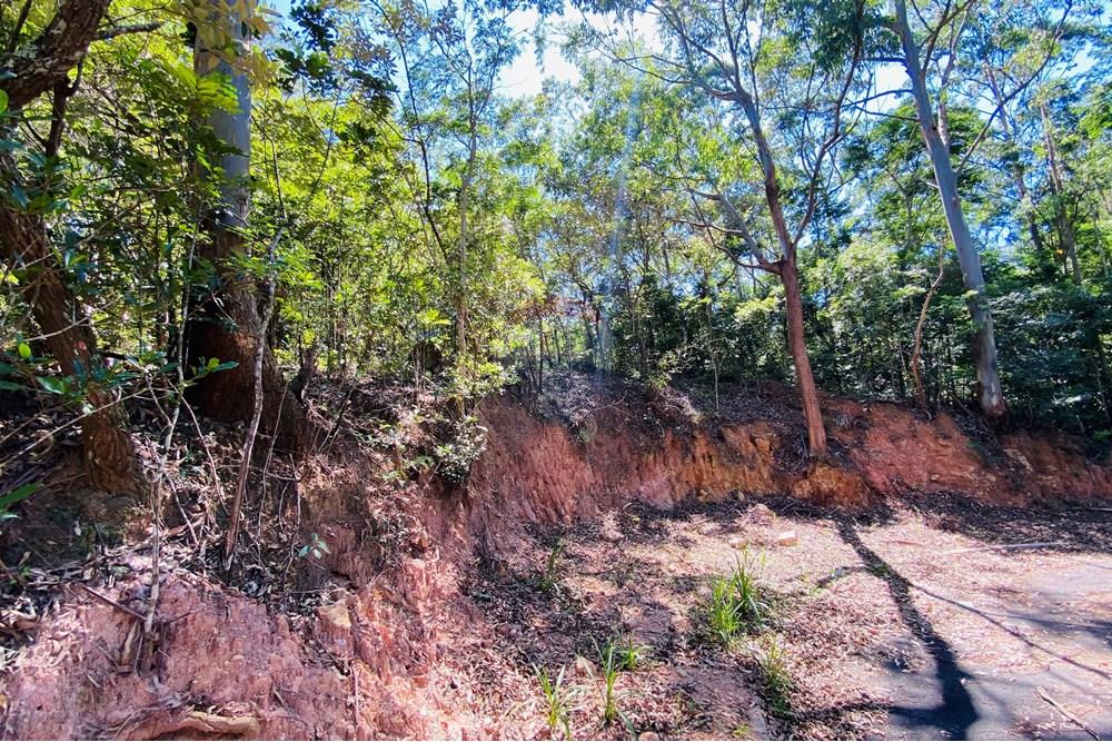 Terreno - Venda - Atibaia , São Paulo - IMG_0076.jpg - 690921107-2