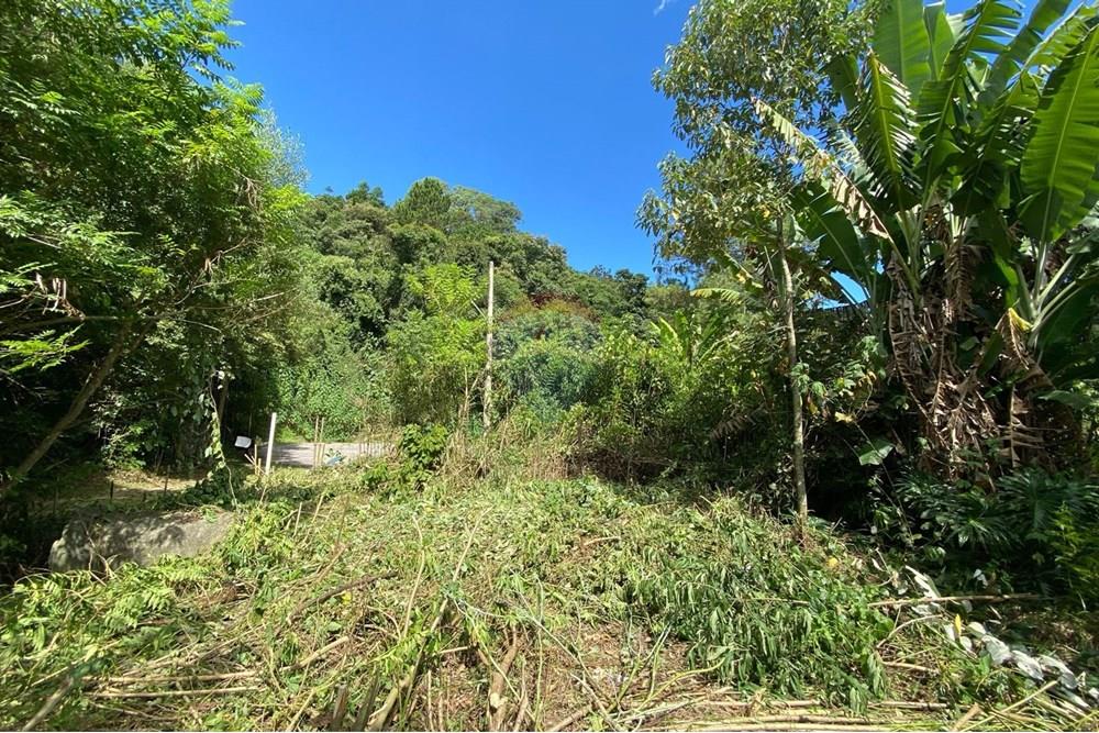 Terreno - Venda - Mairiporã , São Paulo - b066e6af-e142-409b-98fa-e0cd539688f6.jpeg - 690041107-11