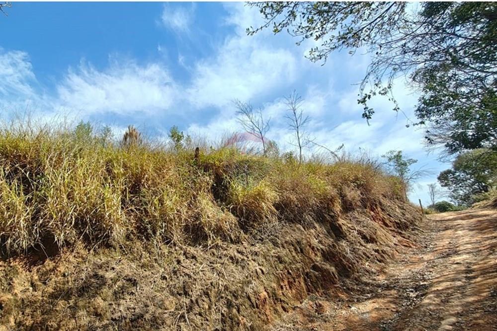 Terreno - Venda - Joanópolis , São Paulo - Imagem do WhatsApp de 2025-09-19 à(s) 11.52.11_ce6e77e6.jpg - 691011025-2