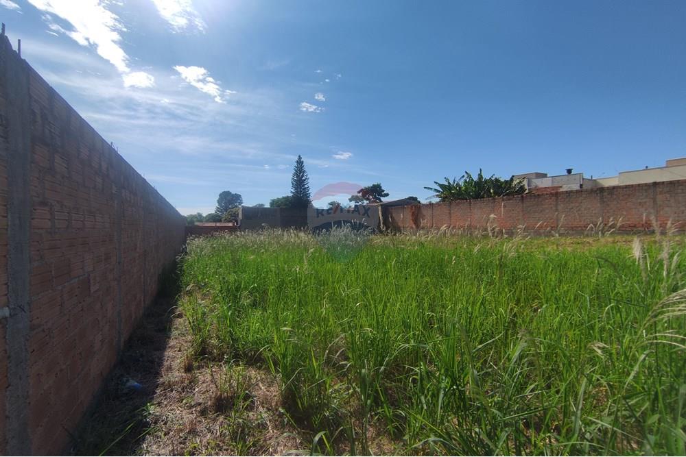 Terreno - Venda - Mogi Mirim , São Paulo - IMG_20250417_094604.jpg - 690751048-122