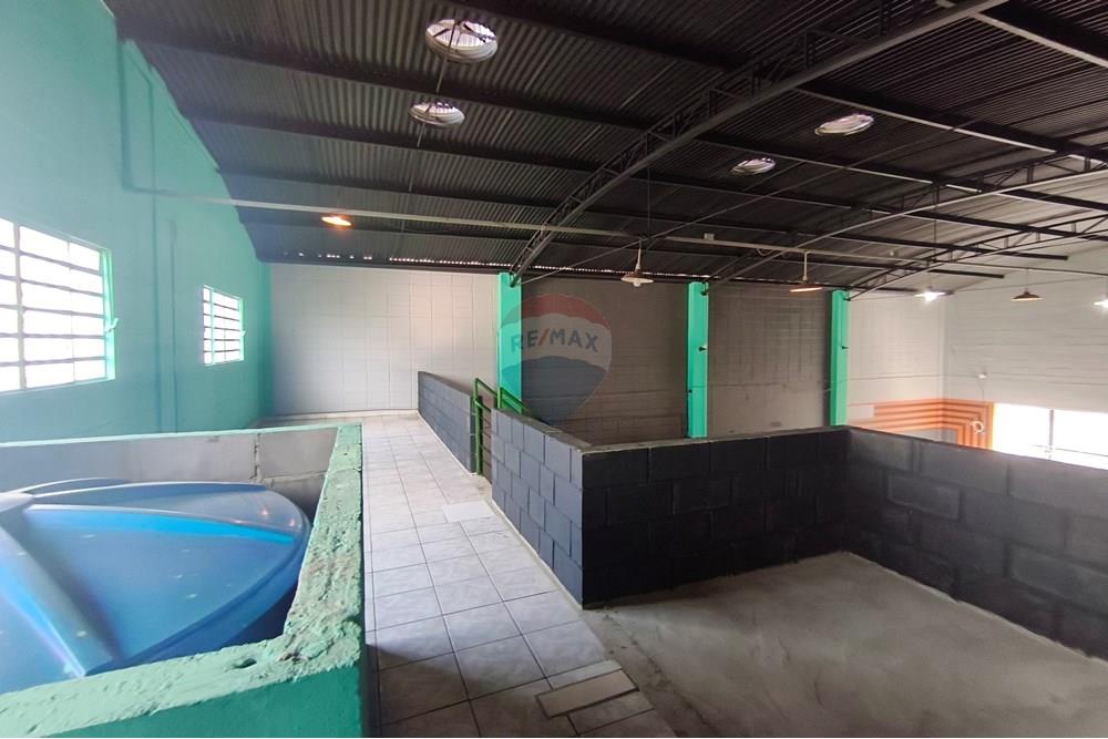 Galpão - Alugar - Mogi Mirim , São Paulo - IMG_20251017_135321.jpg - 690751092-21