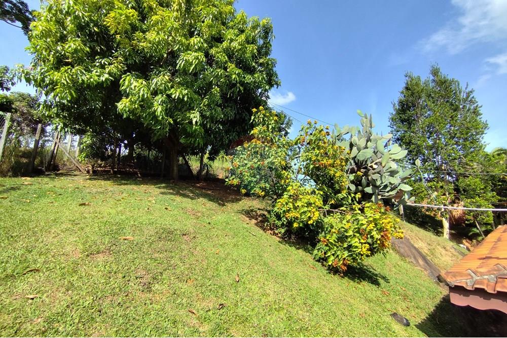 Chácara / Sítio / Fazenda - Venda - Itapira , São Paulo - 1751510168703.jpg - 690291077-251