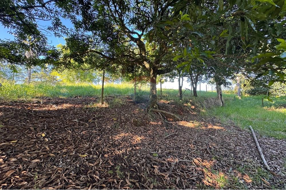 Terreno - Venda - Bragança Paulista , São Paulo - H - Foto Terreno Portal Barragem Jacareí 23.jpg - 690041052-92