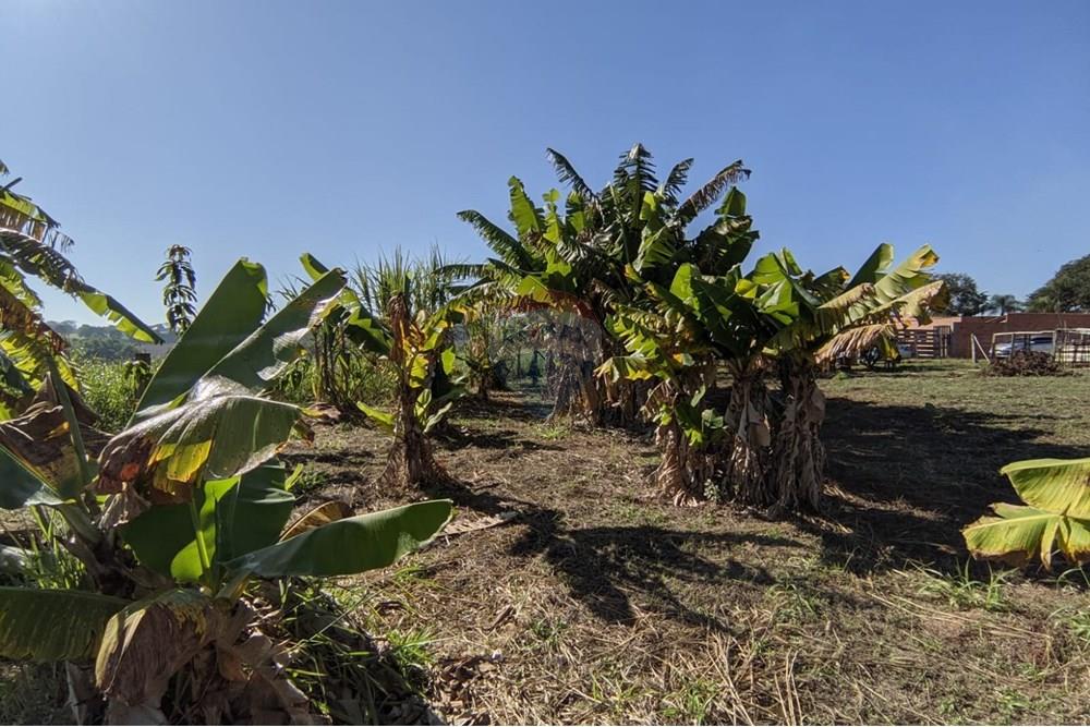 Terreno - Venda - Mogi Guaçu , São Paulo - 12.jpeg - 690521018-187