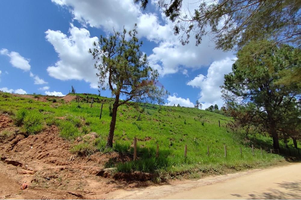 Terreno - Venda - Serra Negra , São Paulo - IMG_20241030_110752.jpg - 690291077-60