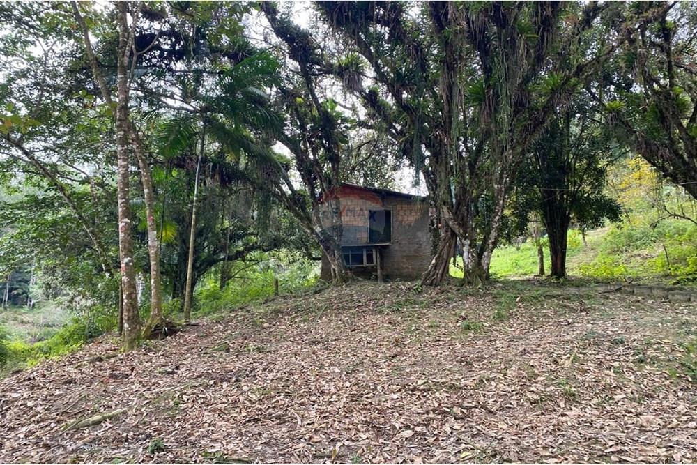 Fazenda - Venda - Sete Barras , São Paulo - WhatsApp Image 2025-08-26 at 13.13.15 (1).jpeg - 690061038-12