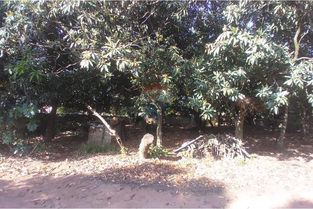Chácara / Sítio / Fazenda - Venda - Mogi Mirim , São Paulo - Foto sr. Mario.jpeg - Pátio interno - 690751061-28