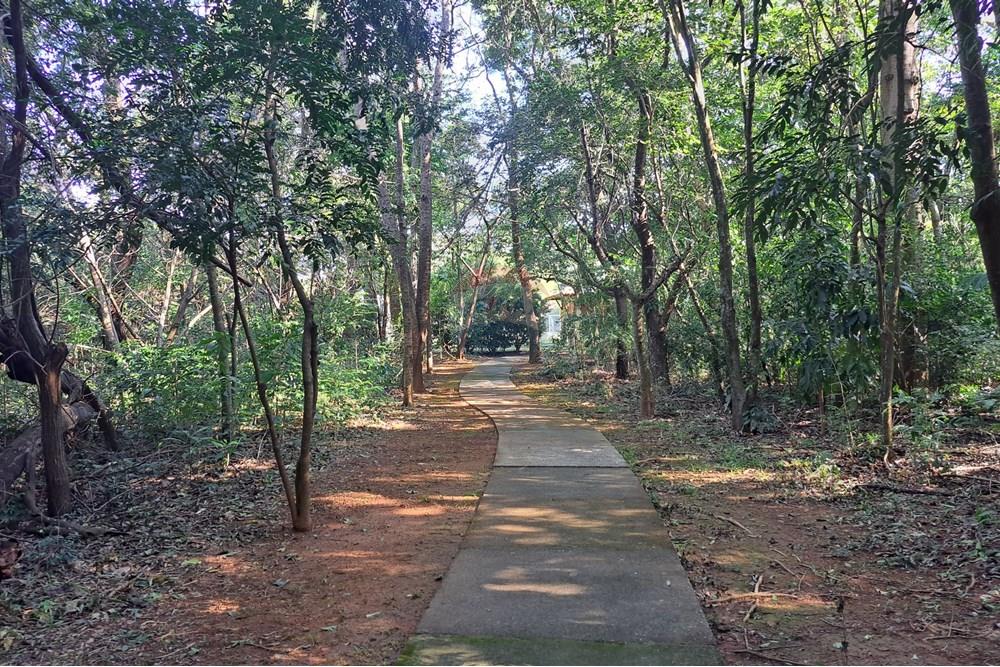 Terreno - Venda - Campinas , São Paulo - Caminhada.jpg - 690681070-43