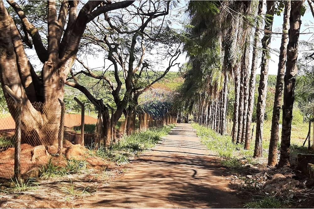 Restaurante - Alugar - Mogi Mirim , São Paulo - IMG-20250202-WA0129.jpg - 690751034-73