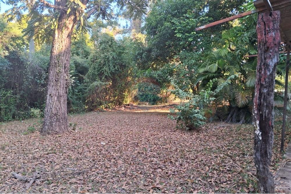 Chácara / Sítio / Fazenda - Venda - Mogi Mirim , São Paulo - chacara paola 23.jpeg - 690751036-62