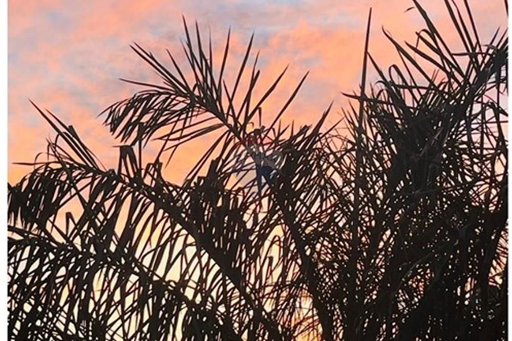 Casa - Alugar - Atibaia , São Paulo - IMG-20251017-WA0363.jpg - 690471100-199