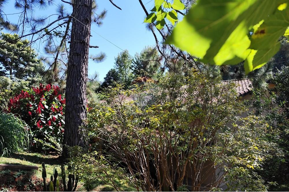 Casa - Venda - Águas de Lindóia , São Paulo - 1747830619103.jpg - 690291077-221