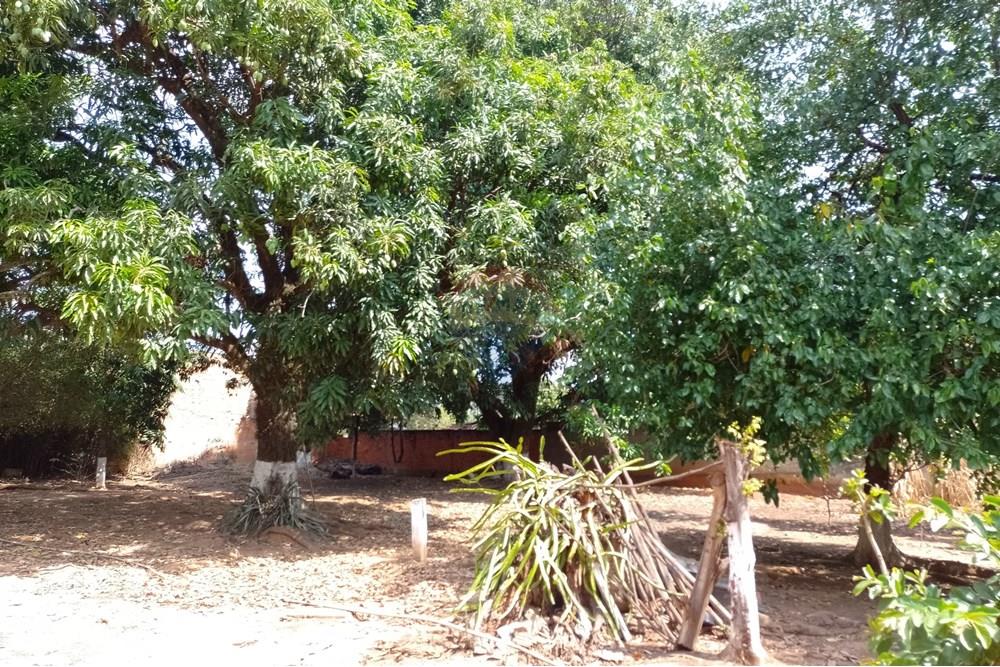 Terreno - Venda - Cosmópolis , São Paulo - fachada (18).jpg - Jardim Interno - 690831047-354