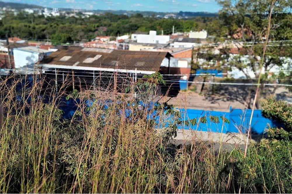 Galpão - Alugar - Jaguariúna , São Paulo - IMG_20250604_150732532_MF_PORTRAIT.jpg - 690671041-8