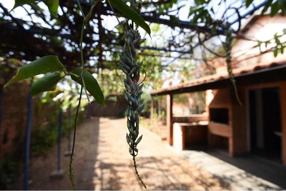 Casa - Venda - Rio Claro , São Paulo - PIP_7820.JPG - 690811015-135