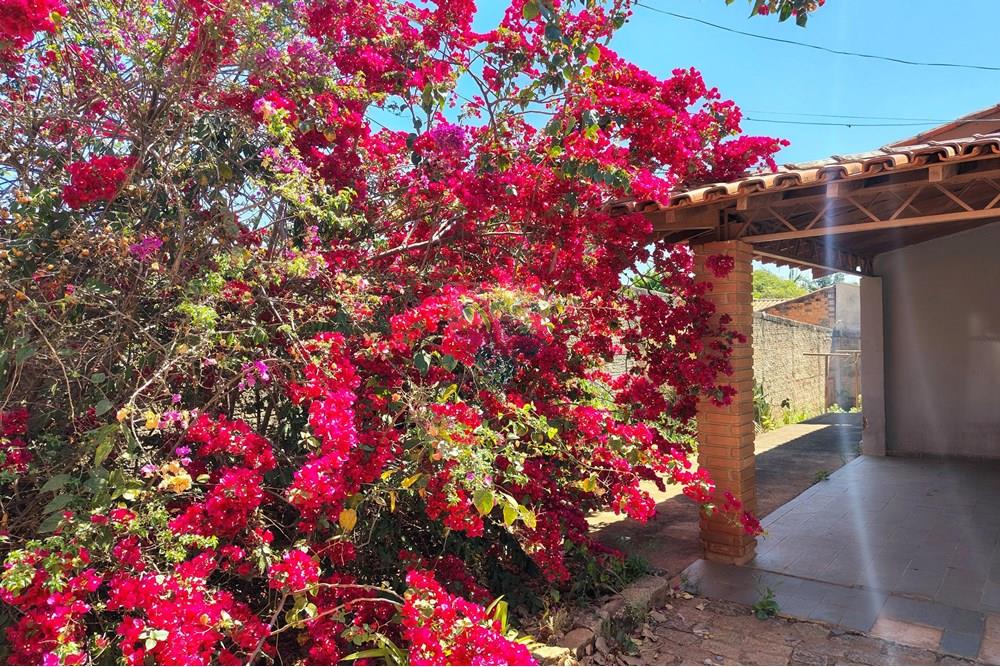 Chácara / Sítio / Fazenda - Venda - Cosmópolis , São Paulo - IMG_20250917_130343084_HDR-EDIT.jpg - 690511140-63