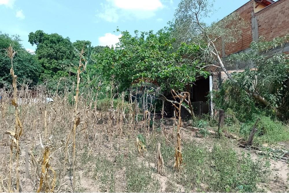 Terreno - Venda - Cosmópolis , São Paulo - fachada (6).jpg - Jardim Interno - 690831047-354