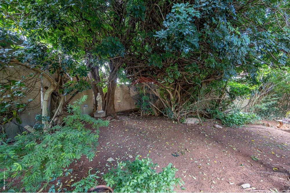 Casa - Venda - Campinas , São Paulo - TKD-1669.jpg - 690681033-92