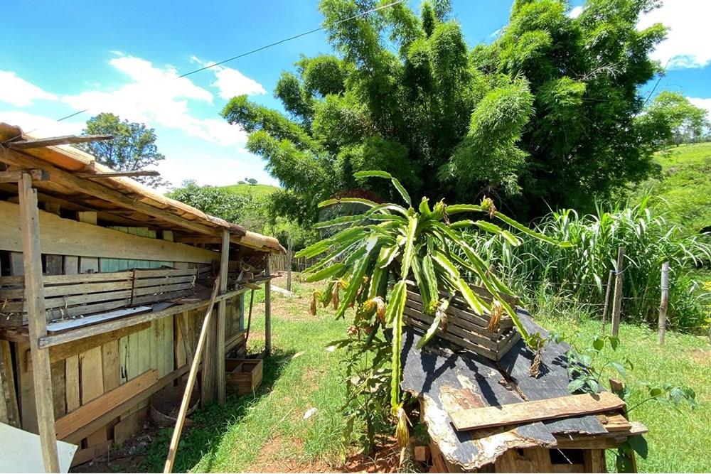 Chácara / Sítio / Fazenda - Venda - Lindóia , São Paulo - Imagem do WhatsApp de 2025-02-25 à(s) 19.33.40_bc67de85.jpg - 690291077-223