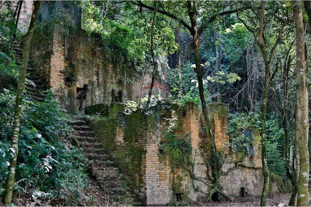 Casa de Condomínio - Venda - Itupeva , São Paulo - images (4).jpeg - 690801068-5