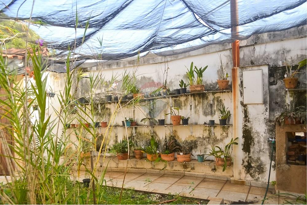 Casa - Venda - Americana , São Paulo - Compartilhada do Lightroom Mobile(38).jpg - Jardim Externo - 691071024-5