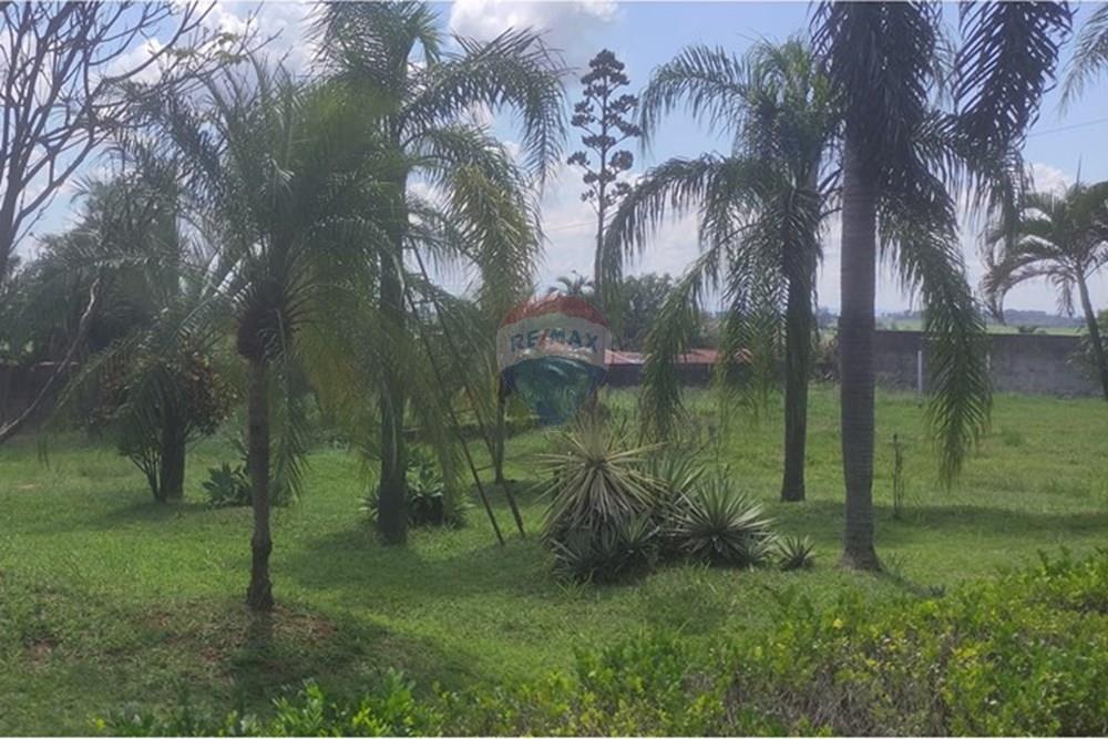 Chácara / Sítio / Fazenda - Venda - Mogi Mirim , São Paulo - IMG_20250330_113815.jpg - 690751048-118