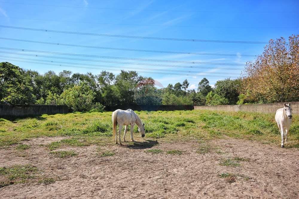 Terreno - Venda - Campinas , São Paulo - 20220527_150516000_iOS.jpg - 690681019-871