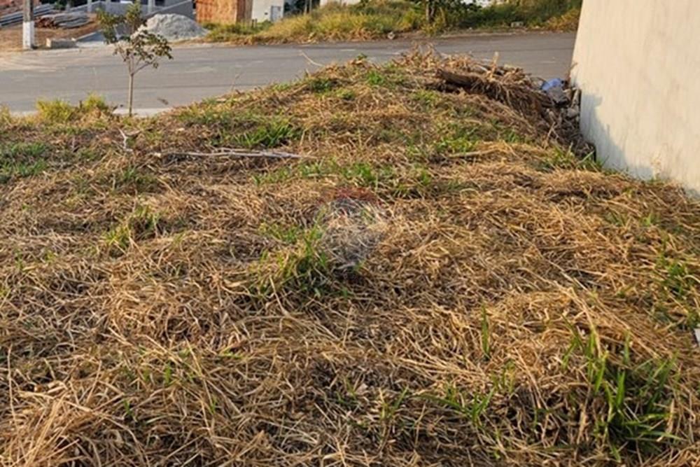 Terreno - Venda - Bragança Paulista , São Paulo - WhatsApp Image 2025-08-20 at 11.01.32 (2).jpeg - 690041140-48