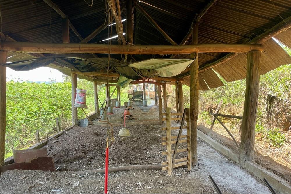 Fazenda - Venda - Campestre , Minas Gerais - IMG_6233.JPG - 690291077-77