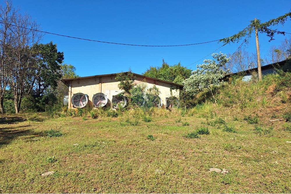 Chácara / Sítio / Fazenda - Venda - Itapira , São Paulo - 20250626_094620.jpg - 690751048-290